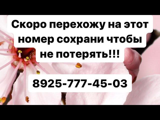 Мадина Домбаева - Хьо цхьаъ ву са️ (НОВИНКА 2024) 89257774503