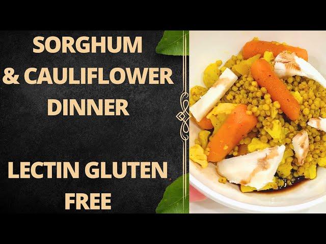 Sorghum and Cauliflower Meal (Lectin Free Dinner Recipe) Gluten Free Grain Sorghum, Easy Recipe