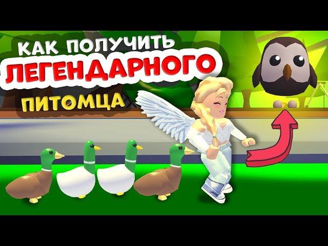 Роблокс ADOPT ME ! Как поймать LEGENDARY питомца из ФЕРМЕРСКОГО ЯЙЦА ?   роблокс адопт ми