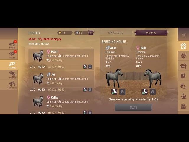 Westland Survival:  STABLE FINALIZE to lvl 2, intro to horse breeding