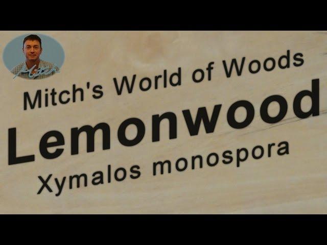 Lemonwood (Xymalos monospora) - Mitch's World of Woods