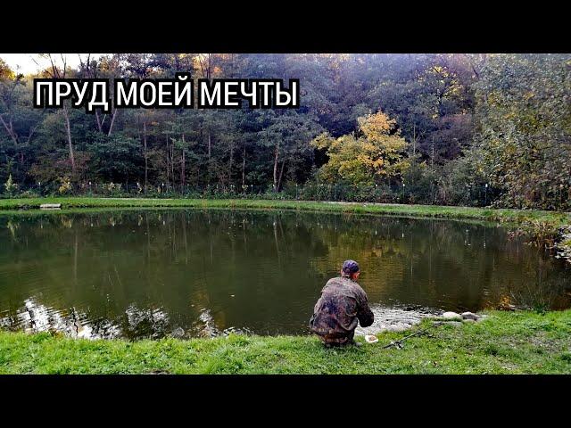 POND OF MY DREAMS. I show how I equipped a pond for breeding fish. My pond in the my home plot