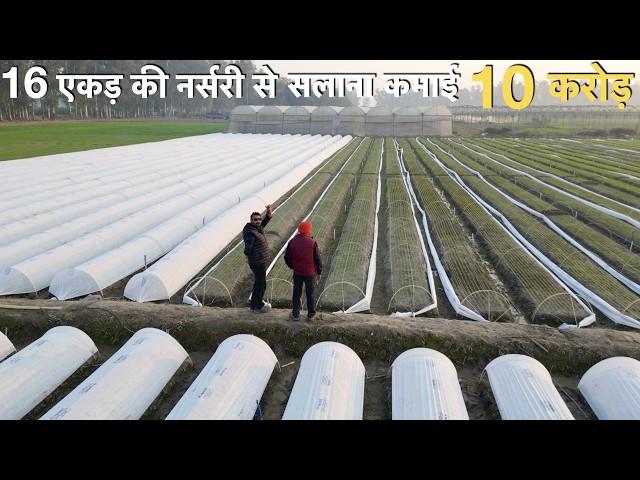 Low investment Vegetable Nursery Farming Profitable business idea India