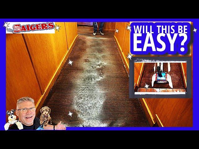 Unbelievable GREASY Carpet Cleaning! We Reveal the Brighter Side of these Carpets