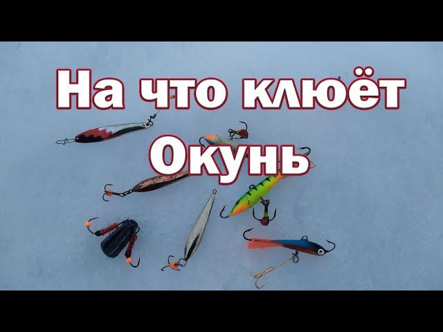 На что клюёт Окунь в Глухозимье !? Рабочая Приманка и Проводка для Окуня  !