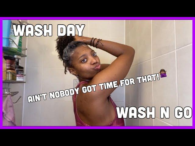 WASH DAY IN UNDER AN HOUR! | Quick Wash Day & Wash n Go Routine For 3C/4A Natural Hair