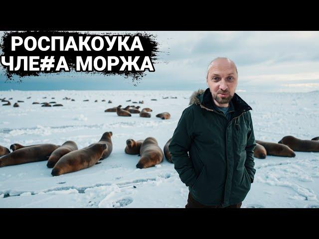 ПОДАРИЛИ Ч#ЕН МОРЖА   |  ЗУБАРЕВ | ЗУБАРЕВ В КИТАЕ