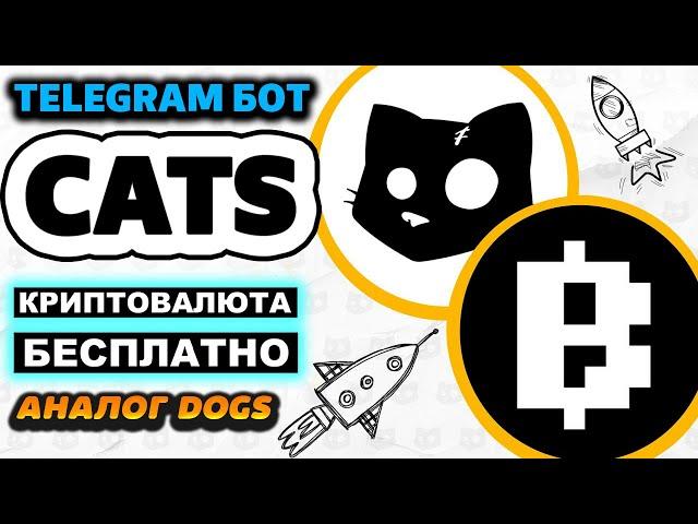 Обзор Telegram бота CATS. Как получить бесплатный Аирдроп за 1 клик в Телеграмм (catsgang_bot)