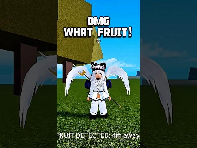 OMG  WHAT FRUIT!? #bloxfruits #roblox #bloxfruit #shorts