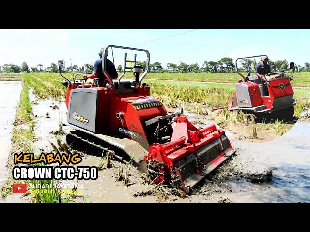 BAJAK SAWAH ALA JEPANG MENGGUNAKAN TRAKTOR CRAWLER CROWN CTC-750 KELABANG