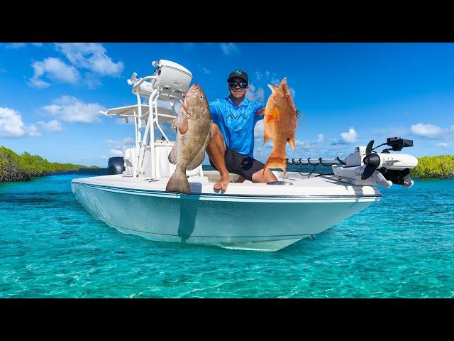 Why Every Family Deserves a Boat! | Groupers & Hogfish on Shallow Patch Reefs