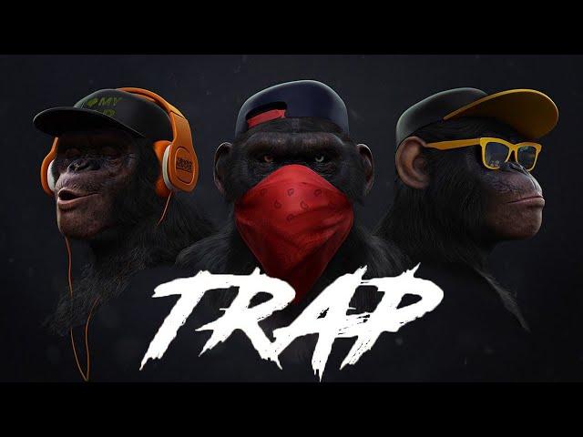 Best Trap Music Mix 2020  Hip Hop 2020 Rap  Future Bass Remix 2020 #76