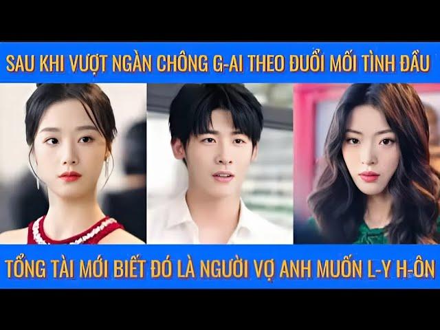 Sau khi vượt ngàn chông g-ai theo đuổi mối tình đầu, tổng tài mới biết là người vợ anh muốn l-y h-ôn