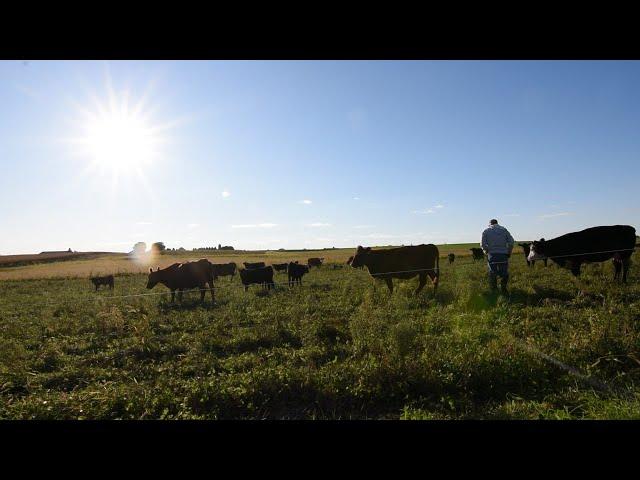 Regenerative Grazing and Soil Health - Livestock on the Land