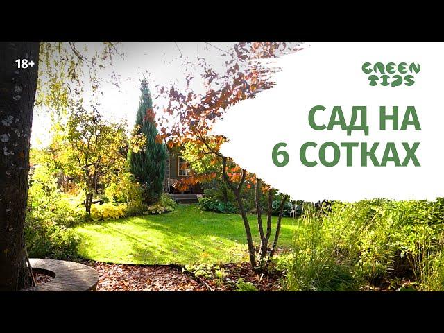 Красивый сад на 6 сотках. Обзор сада