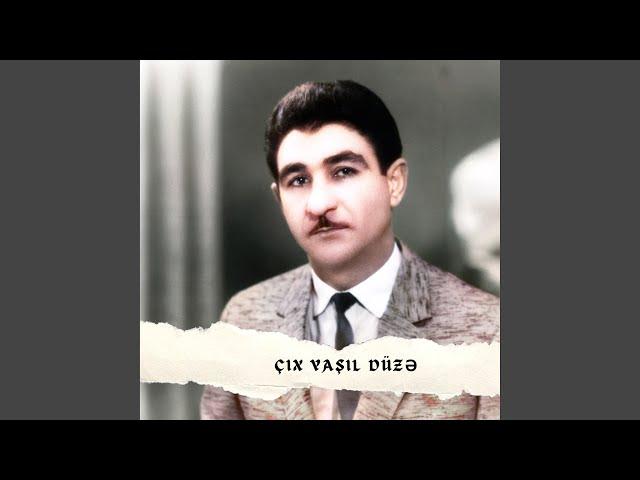 Çıx yaşıl düzə