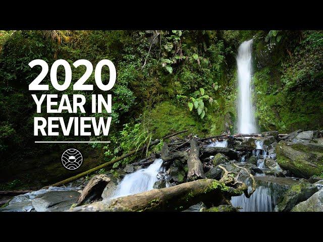 2020 Year in Review | blinsaff