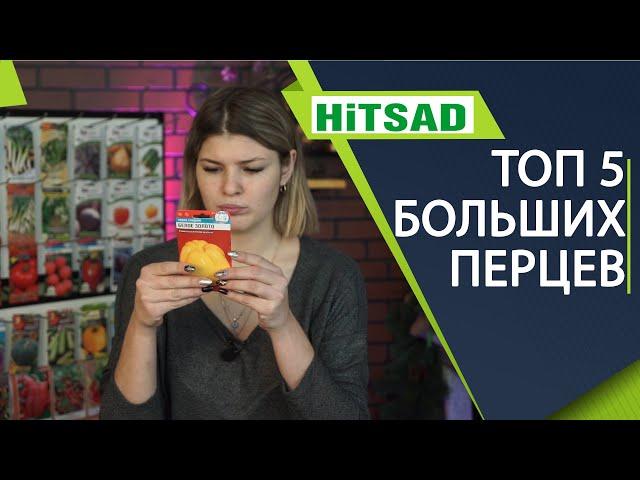 ТОП 5 ТОЛСТОСТЕННЫХ ПЕРЦЕВ  ️