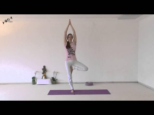 Standing Sequence - Yoga Tree, Airplane and Dancer Natarajasana