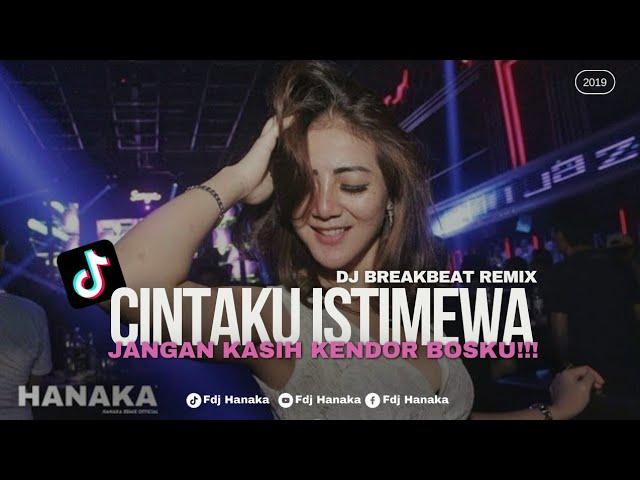 Dj Cintaku Istimewa Remix BreakBeat (House Musik2019)| Dj Hanaka Remix