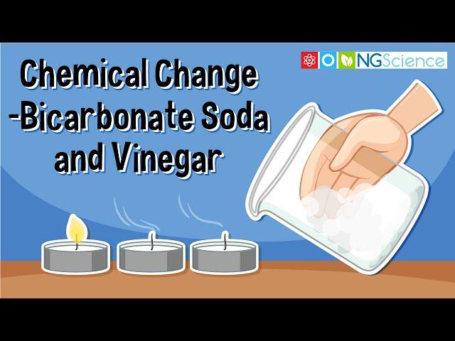 Chemical Change – Bicarbonate Soda and Vinegar