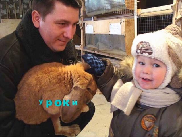 Наши кролики