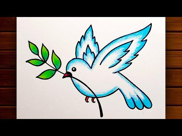 How to Draw Dove || Pigeon Drawing || Peace Dove Drawing || Pigeon Drawing Step by Step.