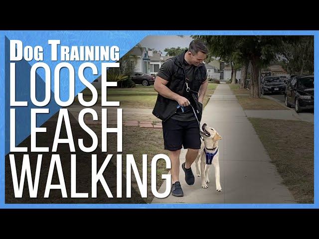 Say Goodbye to Leash Pulling: How to Train Any Dog to Walk Nicely