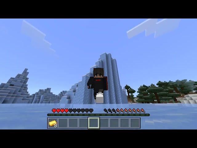 Minecraft Ice-Biome House