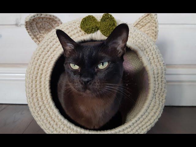 Crocheted cat house from knitted yarn