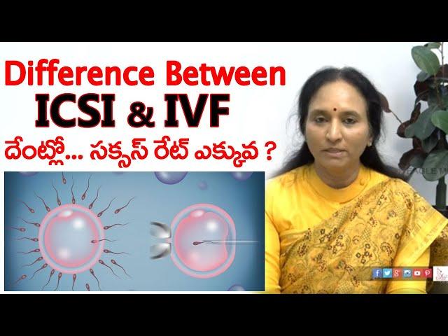 Is ICSI more successful than Normal  IVF ?  Eagle Media Works