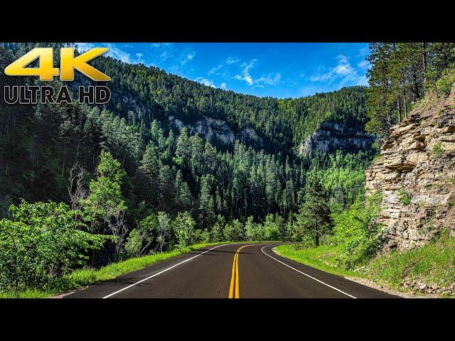 Colorado Rocky Mountain Scenic Drive on Grand Mesa Scenic Byway 4K