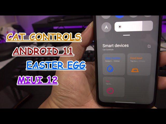 Cat Controls Easter Egg Android 11 di MIUI 12 Android 11 Menu Control Center