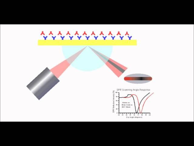 Surface Plasmon Resonance Explained