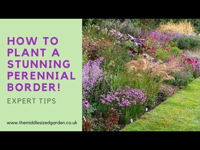 Create an outstanding perennial border - how to choose and combine plants