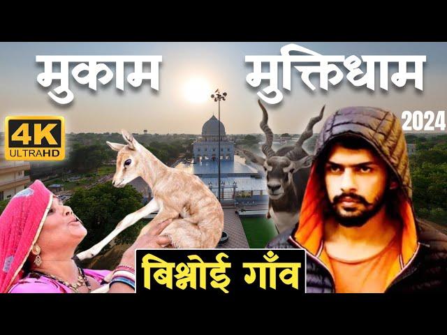 बिश्नोई गाँव- Muktidham Mukam Bikaner | Samrathal Dhora | Saurabh Biloni