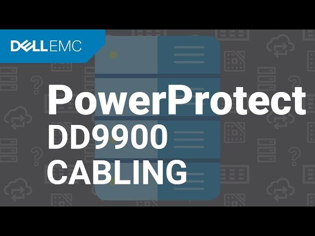 PowerProtect DD - SAS Cabling for Data Domain 9900 System