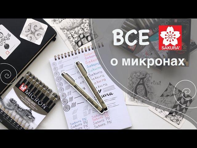 Все о линерах Pigma Micron от Sakura