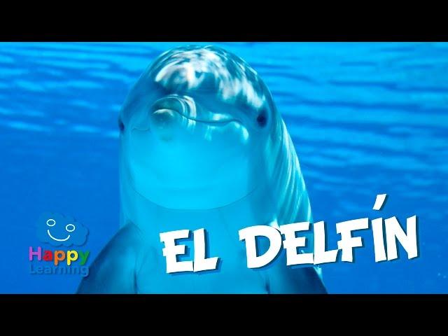 El Delfín | Videos Educativos para Niños