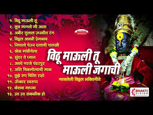 १३ विठ्ठल भक्तीगीते व अभंग | विठू माऊली तू माऊली जगाची : 13 Vitthal Songs Marathi