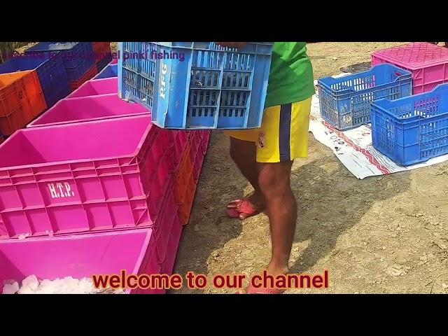 Vennami /shrimps sorting system || #vennami pickup system|| harvesting vennami ||#@Pinki fishing