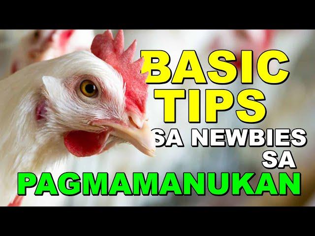 BASIC TIPS SA NEWBIES SA PAGMAMANUKAN