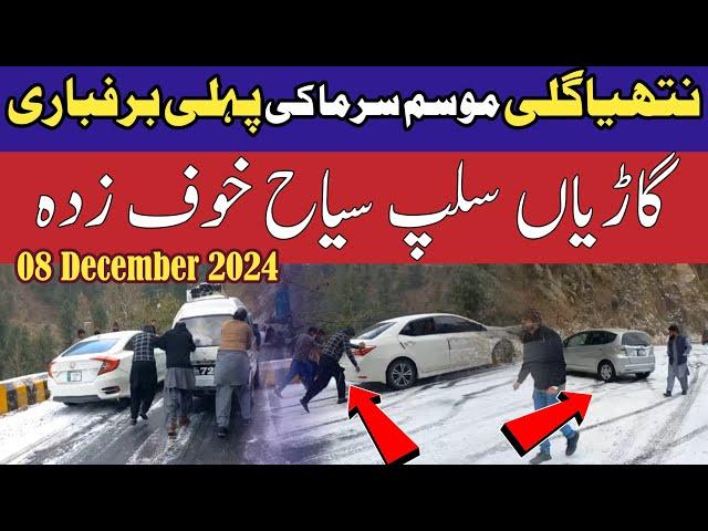 Murree snowfall today | murree #nathiagali snowfall | #murree snow season 2024 | murree live today