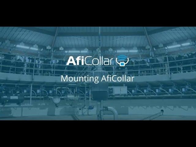 Easy AfiCollar Setup: Proper Mounting & Assigning with Afi2Go.