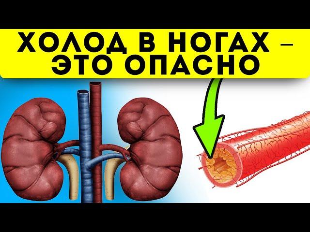 Мерзнут ноги? Вот 10 самых опасных причин почему это происходит! Здоровье сосудов и сердца