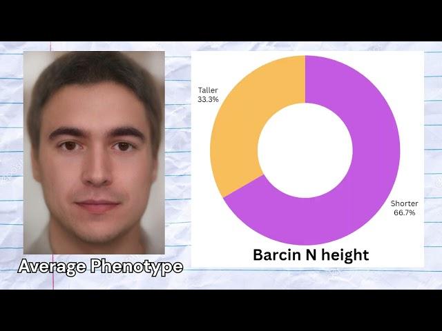 Genetics of Anatolian Neolithic Farmers (Barcin)