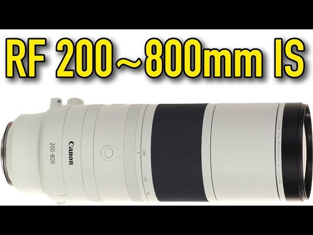 Canon RF 200-800mm IS USM Review & Sample Images by Ken Rockwell