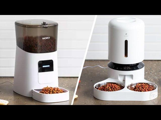 7 Best Automatic Feeders For Cats in 2022