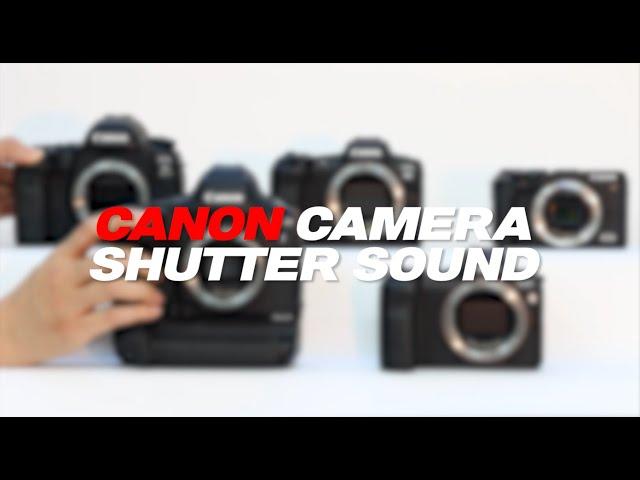캐논카메라 셔터사운드 모음 | 캐논셔터사운드 | 캐논TV