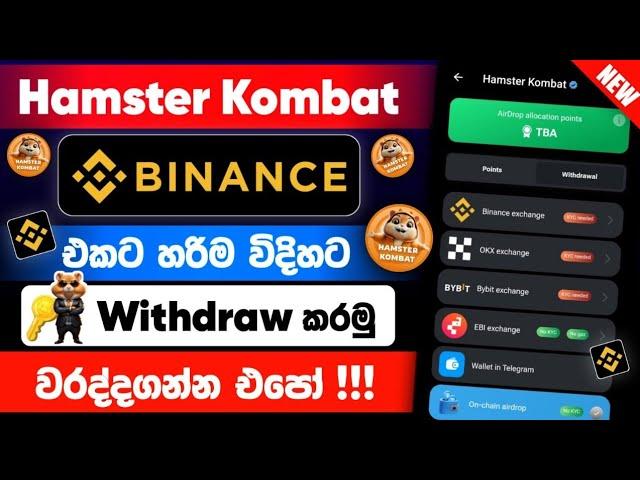 How to Withdraw Hamster Kombat to Binnace  Sinhala | Hamster Kombat - Claim Now @woow_money_tv